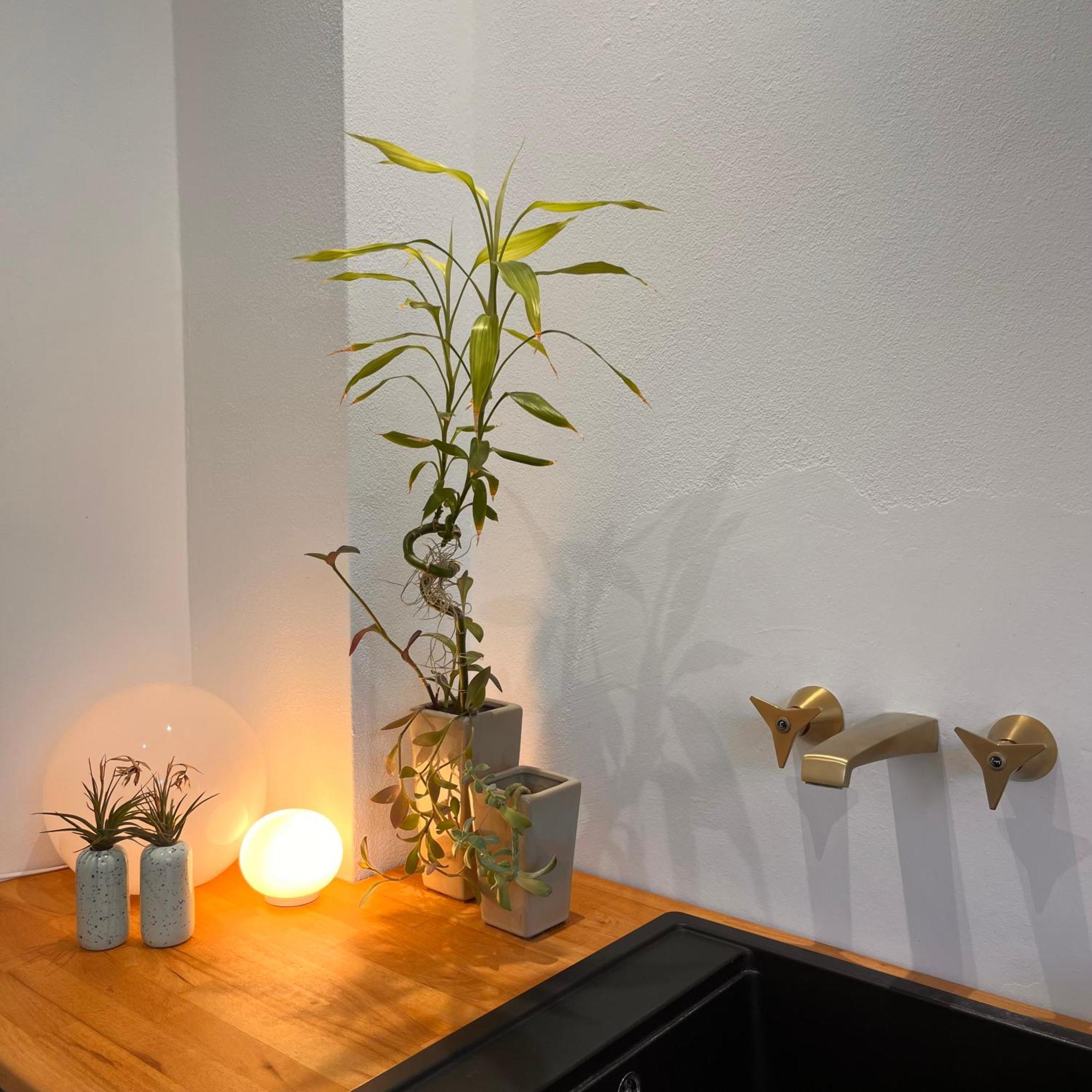 Apartamento Crocetta 67 - Penthouse